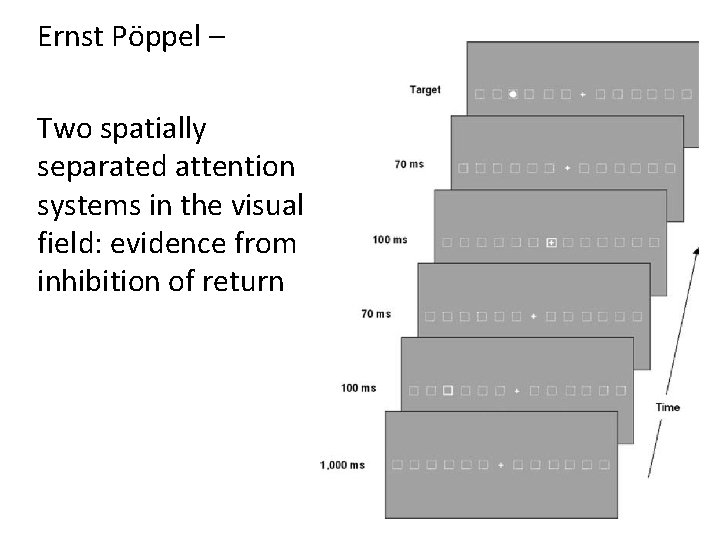 Ernst Pöppel – Two spatially separated attention systems in the visual field: evidence from