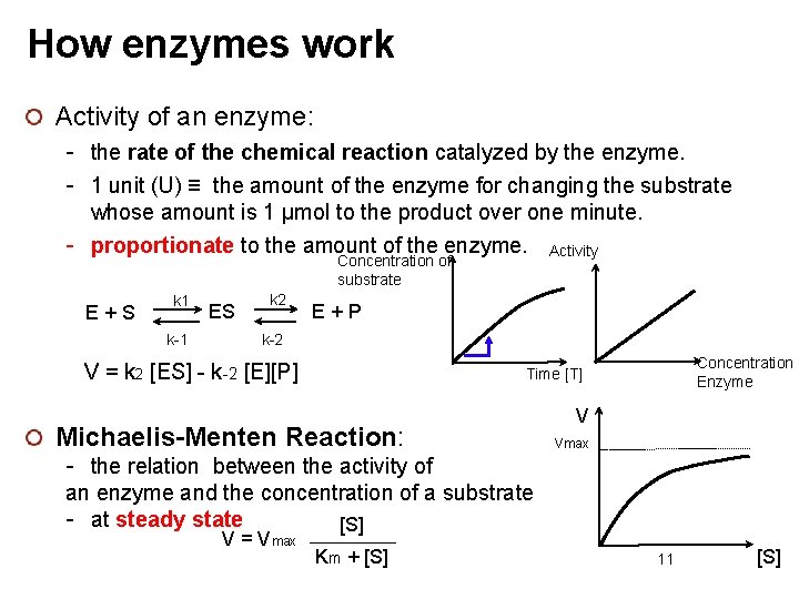 How enzymes work Activity of an enzyme: - the rate of the chemical reaction