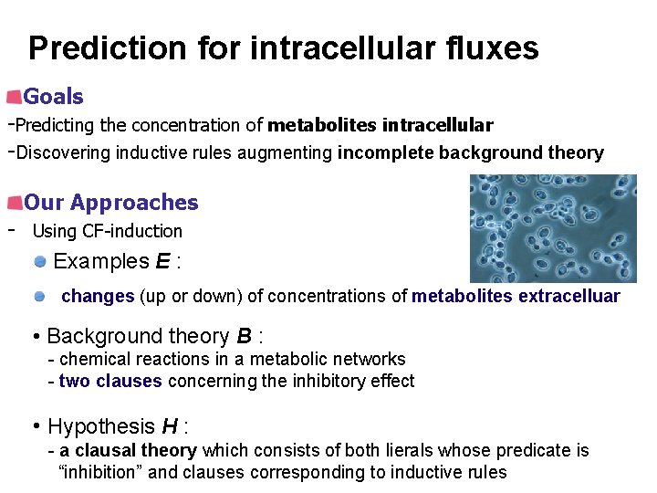 Prediction for intracellular fluxes Goals -Predicting the concentration of metabolites intracellular -Discovering inductive rules