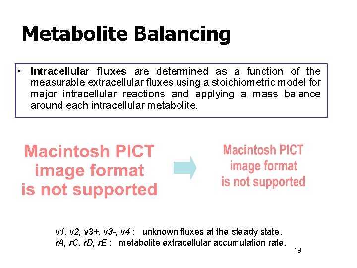 Metabolite Balancing • Intracellular fluxes are determined as a function of the measurable extracellular