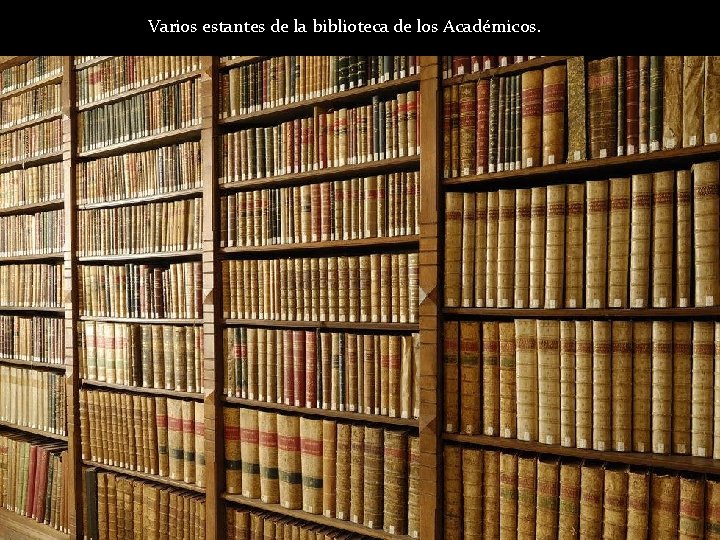 Varios estantes de la biblioteca de los Académicos. 