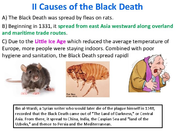 II Causes of the Black Death A) The Black Death was spread by fleas