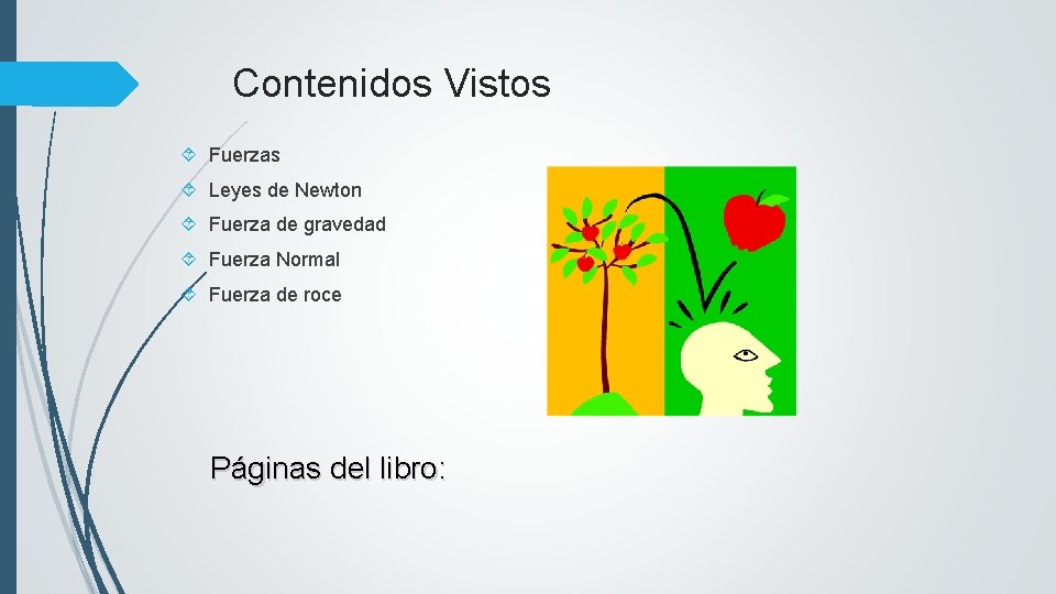 Contenidos Vistos Fuerzas Leyes de Newton Fuerza de gravedad Fuerza Normal Fuerza de roce