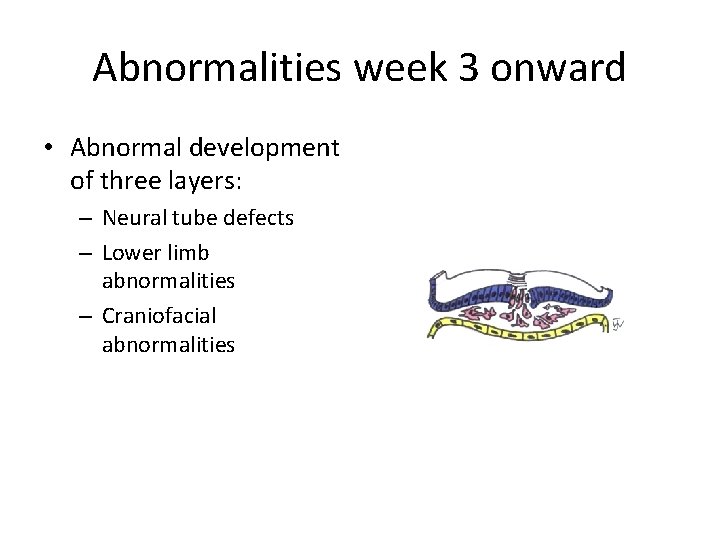 Abnormalities week 3 onward • Abnormal development of three layers: – Neural tube defects