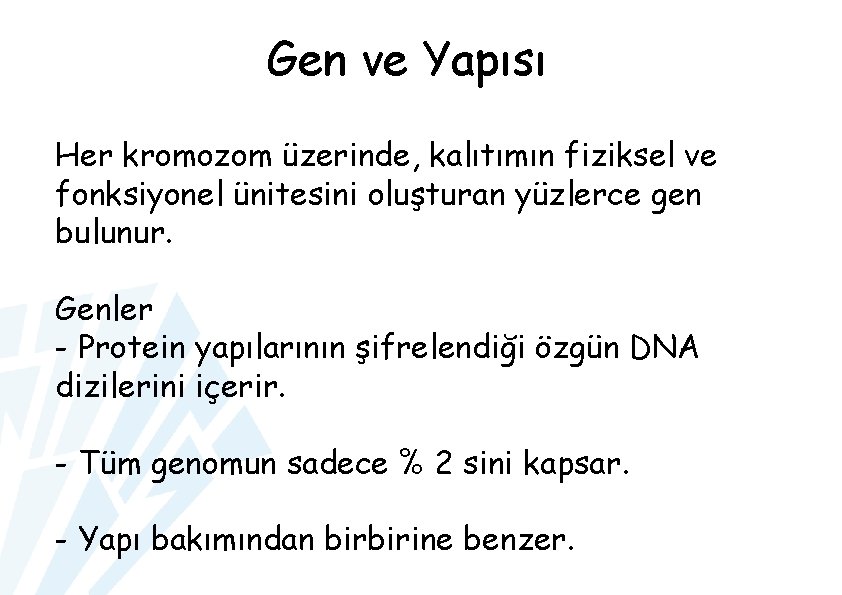 Gen ve Yapısı Her kromozom üzerinde, kalıtımın fiziksel ve fonksiyonel ünitesini oluşturan yüzlerce gen