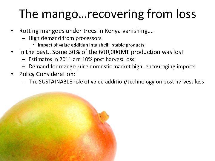 The mango…recovering from loss • Rotting mangoes under trees in Kenya vanishing…. – High