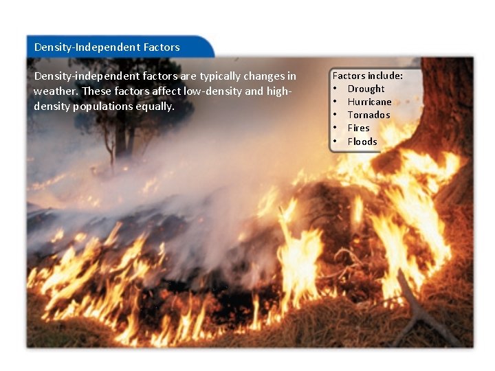 Density-Independent Factors Density-independent factors are typically changes in weather. These factors affect low-density and