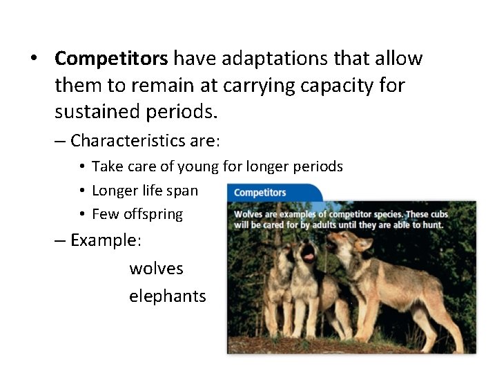  • Competitors have adaptations that allow them to remain at carrying capacity for