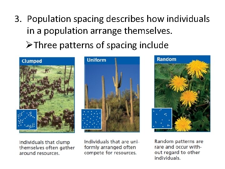 3. Population spacing describes how individuals in a population arrange themselves. ØThree patterns of