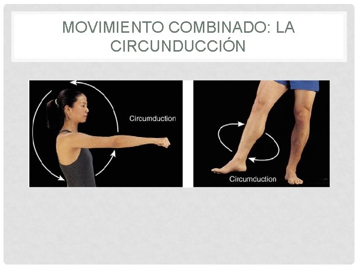 MOVIMIENTO COMBINADO: LA CIRCUNDUCCIÓN 