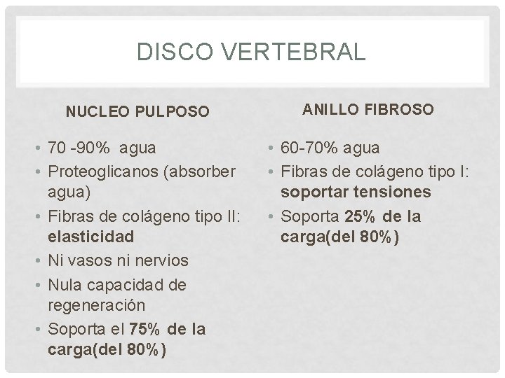 DISCO VERTEBRAL NUCLEO PULPOSO ANILLO FIBROSO • 70 -90% agua • Proteoglicanos (absorber agua)