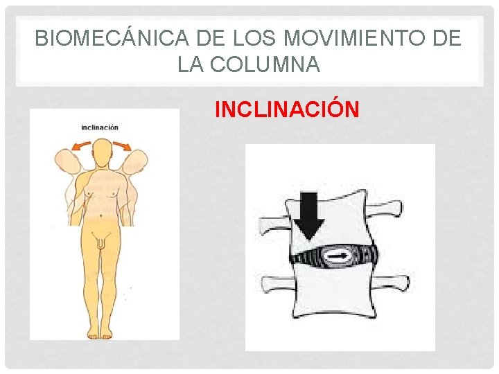 BIOMECÁNICA DE LOS MOVIMIENTO DE LA COLUMNA INCLINACIÓN 