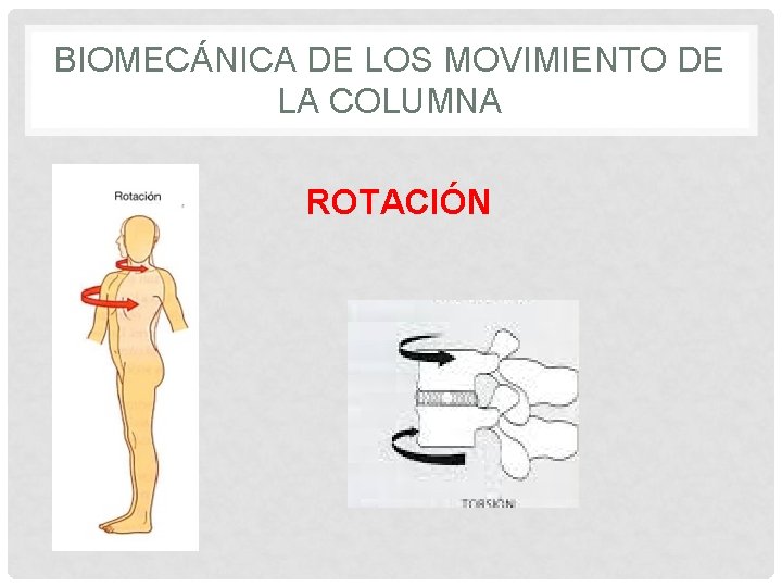 BIOMECÁNICA DE LOS MOVIMIENTO DE LA COLUMNA ROTACIÓN 