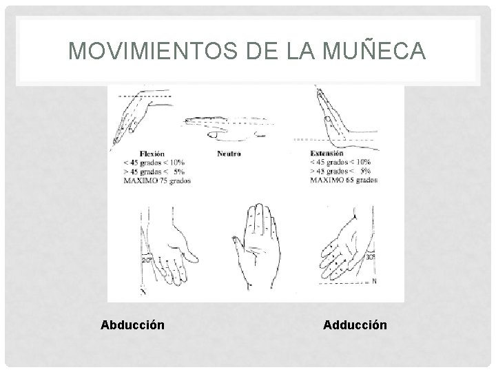 MOVIMIENTOS DE LA MUÑECA Abducción Adducción 