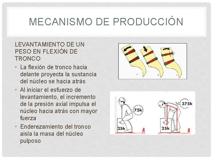 MECANISMO DE PRODUCCIÓN LEVANTAMIENTO DE UN PESO EN FLEXIÓN DE TRONCO • La flexión