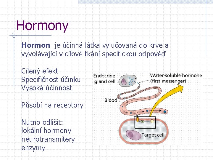 Hormony Hormon je účinná látka vylučovaná do krve a vyvolávající v cílové tkání specifickou