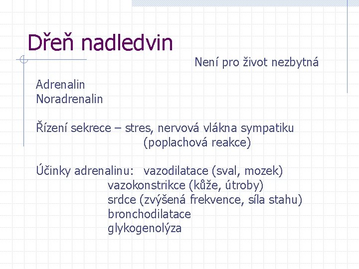 Dřeň nadledvin Není pro život nezbytná Adrenalin Noradrenalin Řízení sekrece – stres, nervová vlákna