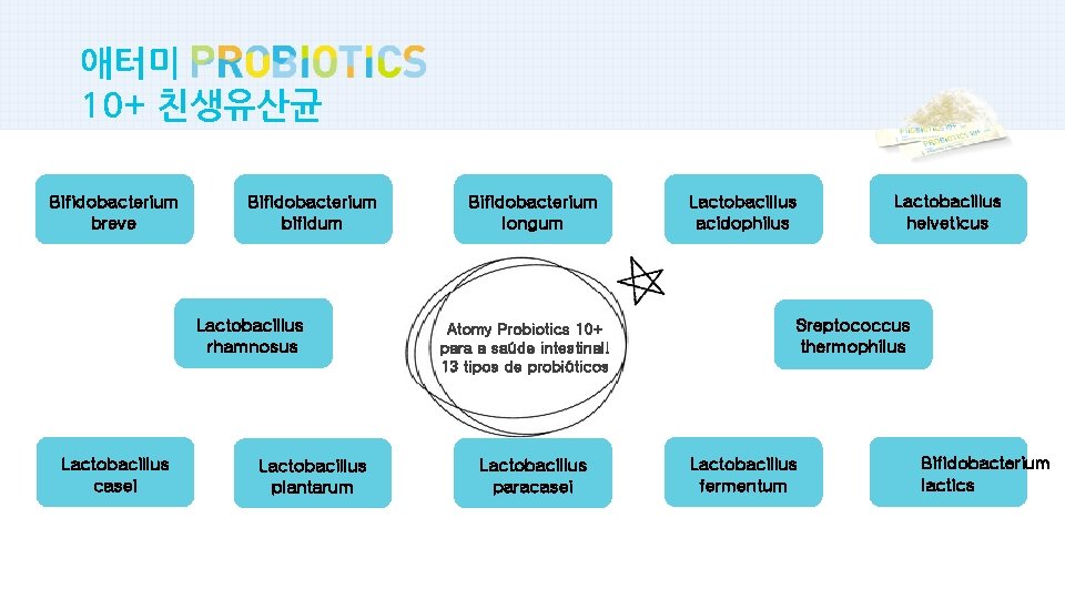 애터미 마스터 제목 스타일 10+ 친생유산균 Bifidobacterium breve Bifidobacterium bifidum Lactobacillus rhamnosus Lactobacillus casei