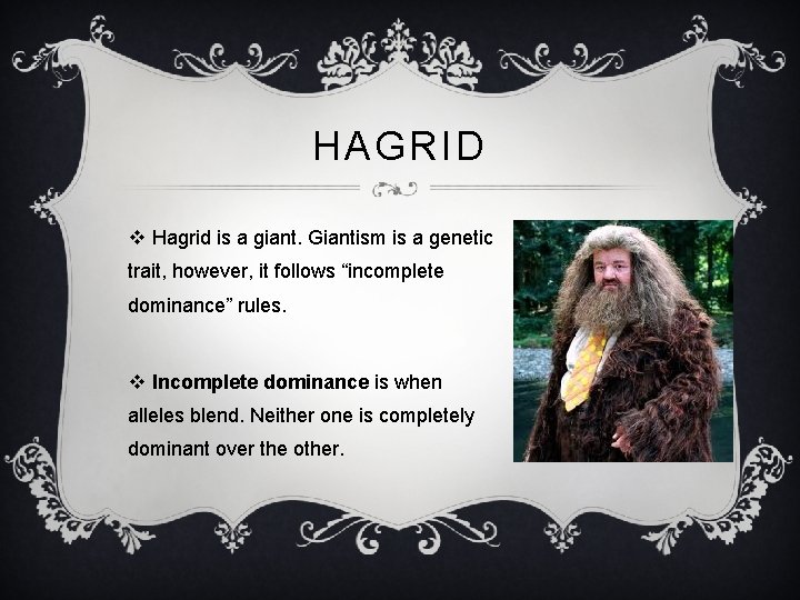 HAGRID v Hagrid is a giant. Giantism is a genetic trait, however, it follows
