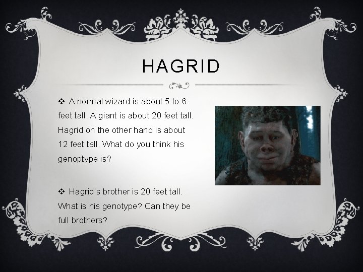 HAGRID v A normal wizard is about 5 to 6 feet tall. A giant