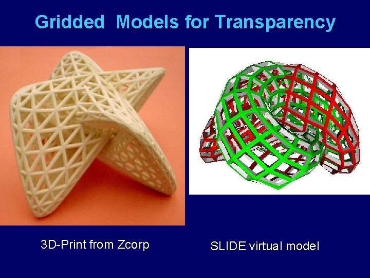 Gridded Models for Transparency 3 D-Print from Zcorp SLIDE virtual model 