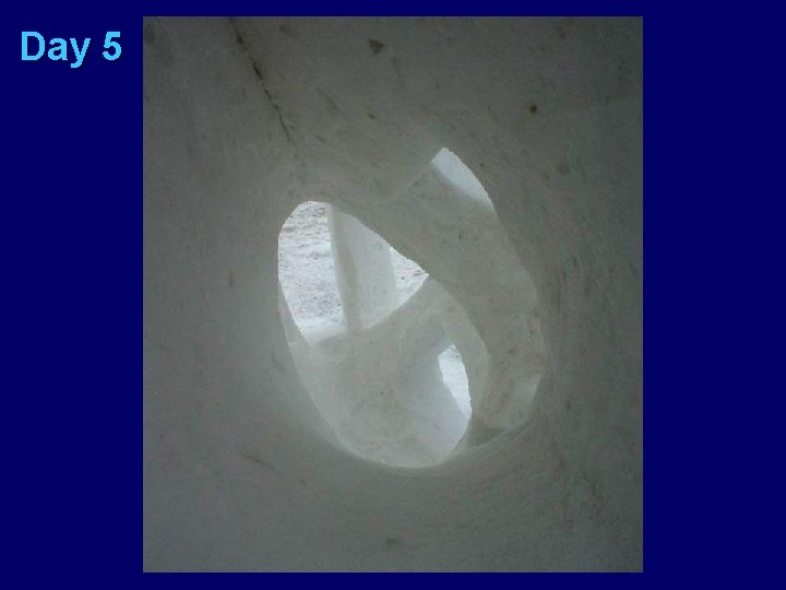 Day 5 