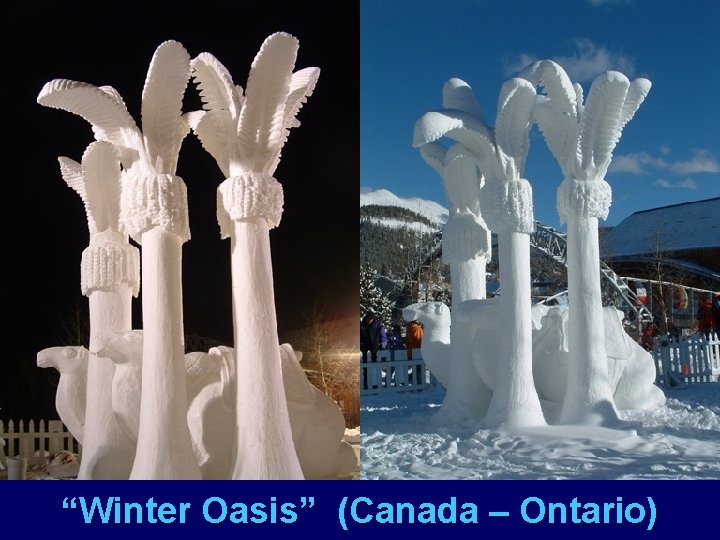 “Winter Oasis” (Canada – Ontario) 