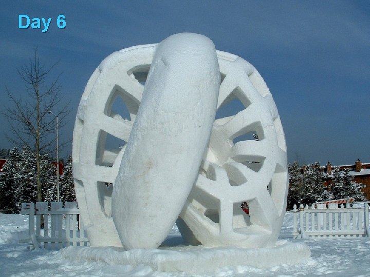 Day 6 