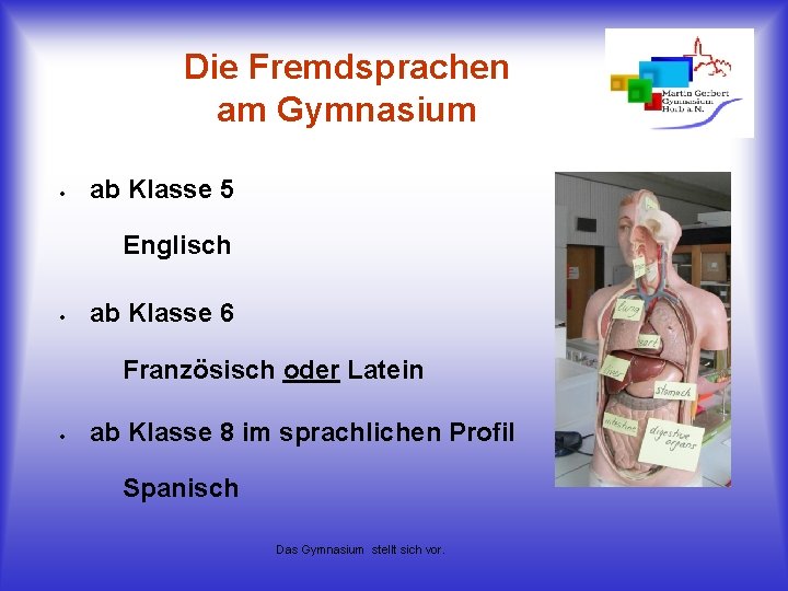 Die Fremdsprachen am Gymnasium ab Klasse 5 Englisch ab Klasse 6 Französisch oder Latein