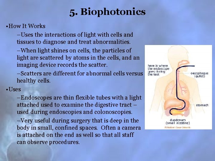 5. Biophotonics • How It Works –Uses the interactions of light with cells and