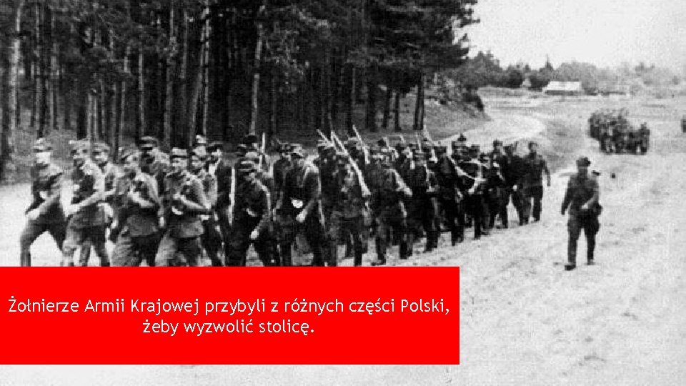 Żołnierze Armii Krajowej przybyli z różnych części Polski, żeby wyzwolić stolicę. 