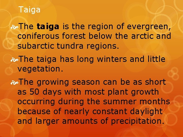 Taiga The taiga is the region of evergreen, coniferous forest below the arctic and