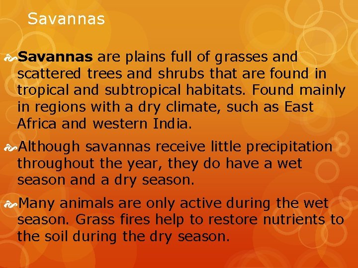 Savannas are plains full of grasses and scattered trees and shrubs that are found