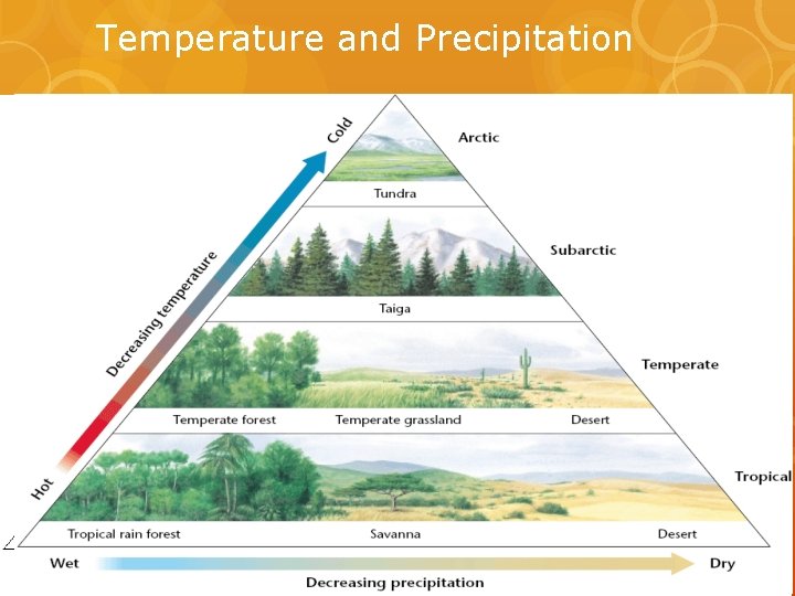 Temperature and Precipitation 