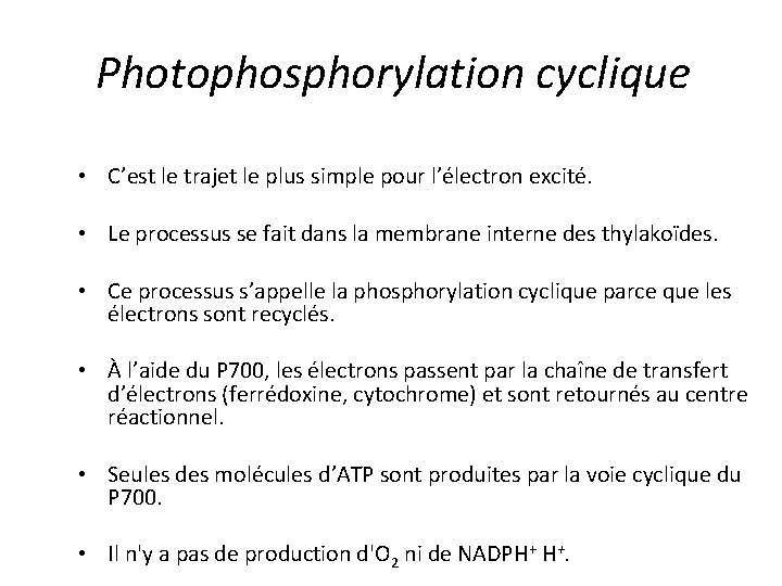 Photophosphorylation cyclique • C’est le trajet le plus simple pour l’électron excité. • Le