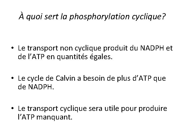 À quoi sert la phosphorylation cyclique? • Le transport non cyclique produit du NADPH