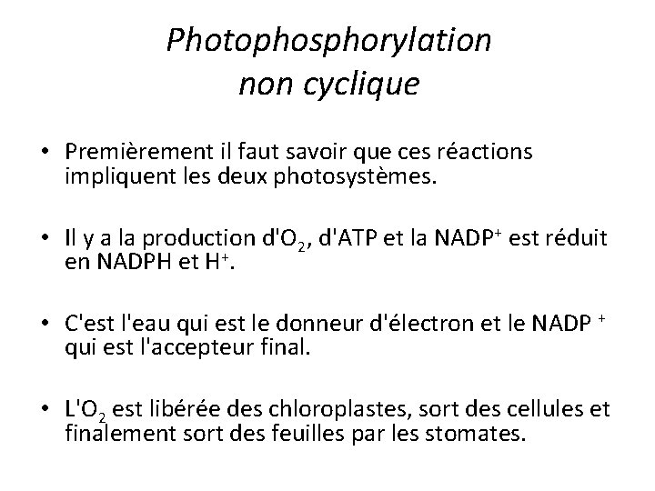 Photophosphorylation non cyclique • Premièrement il faut savoir que ces réactions impliquent les deux