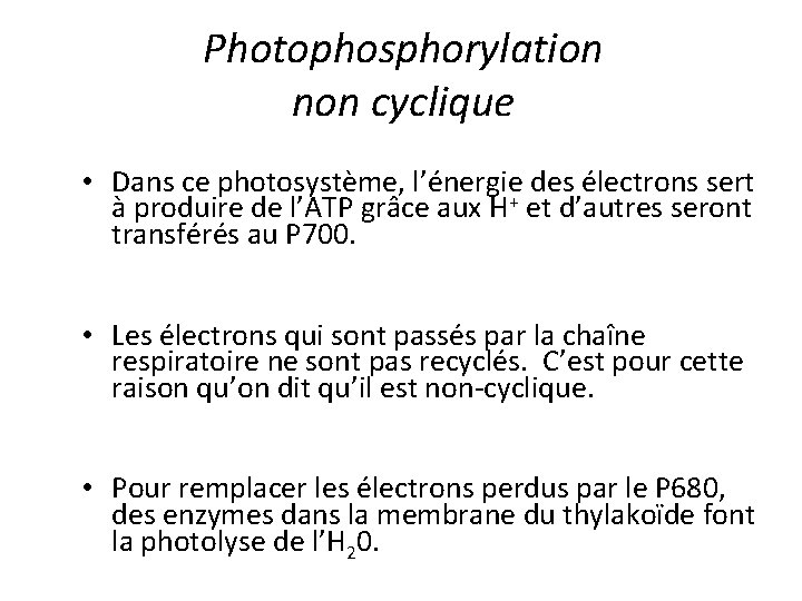 Photophosphorylation non cyclique • Dans ce photosystème, l’énergie des électrons sert à produire de