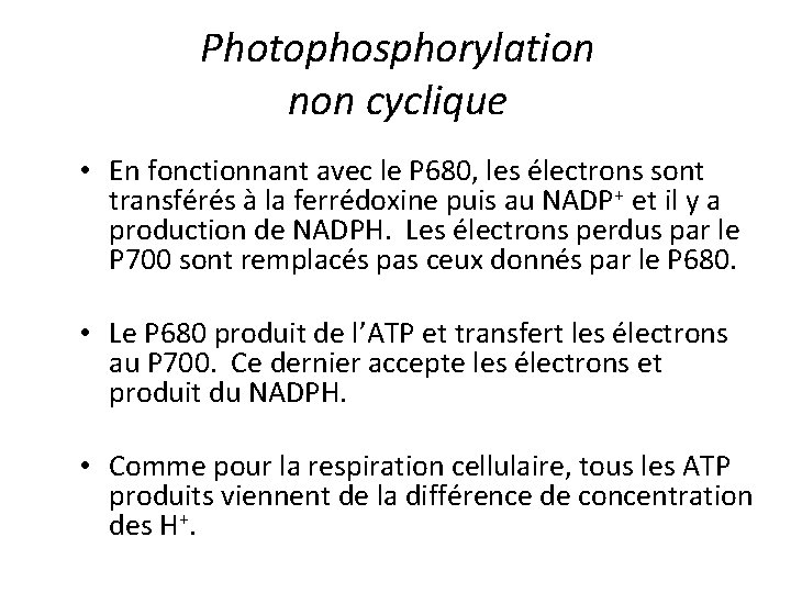 Photophosphorylation non cyclique • En fonctionnant avec le P 680, les électrons sont transférés