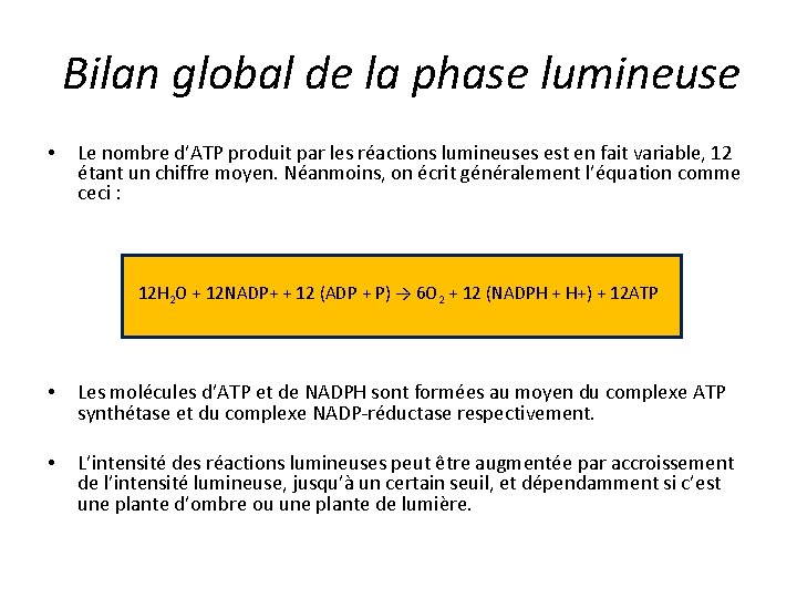 Bilan global de la phase lumineuse • Le nombre d’ATP produit par les réactions