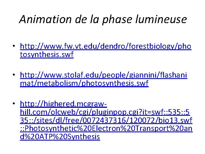 Animation de la phase lumineuse • http: //www. fw. vt. edu/dendro/forestbiology/pho tosynthesis. swf •