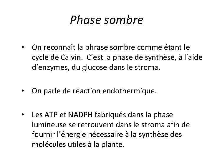 Phase sombre • On reconnaît la phrase sombre comme étant le cycle de Calvin.