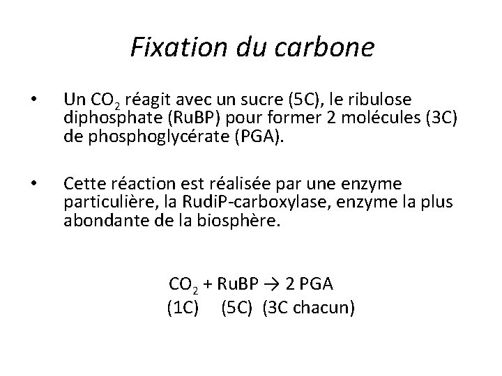 Fixation du carbone • Un CO 2 réagit avec un sucre (5 C), le
