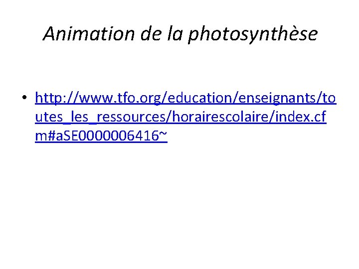 Animation de la photosynthèse • http: //www. tfo. org/education/enseignants/to utes_les_ressources/horairescolaire/index. cf m#a. SE 0000006416~