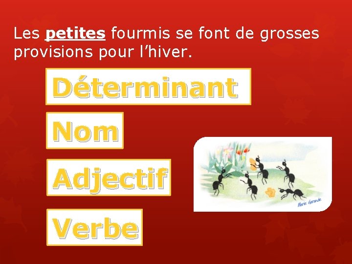 Les petites fourmis se font de grosses provisions pour l’hiver. Déterminant Nom Adjectif Verbe