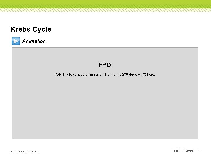 Krebs Cycle Animation FPO Add link to concepts animation from page 230 (Figure 13)