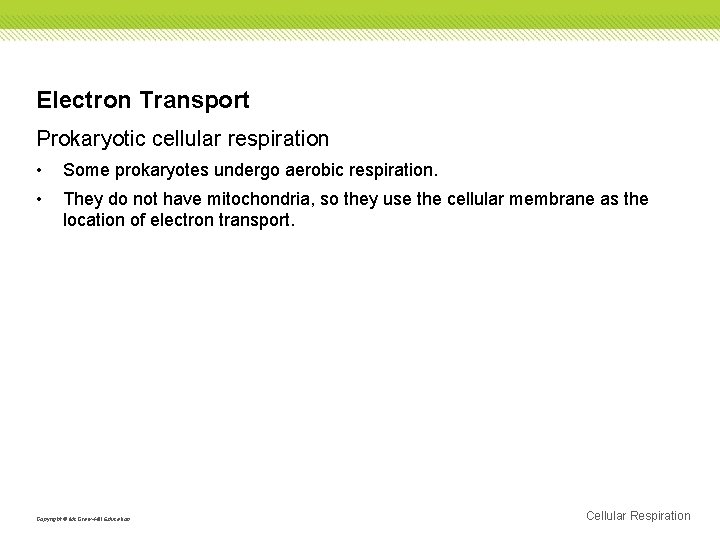 Electron Transport Prokaryotic cellular respiration • Some prokaryotes undergo aerobic respiration. • They do