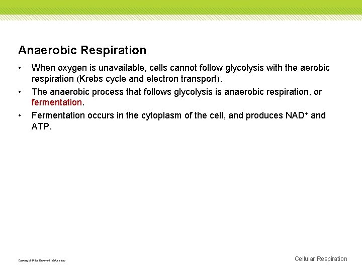 Anaerobic Respiration • • • When oxygen is unavailable, cells cannot follow glycolysis with
