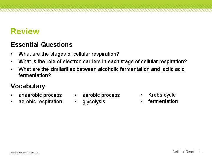 Review Essential Questions • • • What are the stages of cellular respiration? What