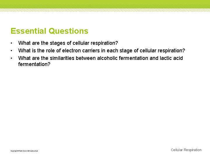 Essential Questions • • • What are the stages of cellular respiration? What is
